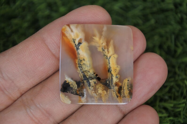 May include: A square-shaped gemstone with a polished surface. The stone features a pattern of branching, tree-like inclusions in shades of yellow, orange, and black against a translucent, light brown background. The gemstone is held in a hand.