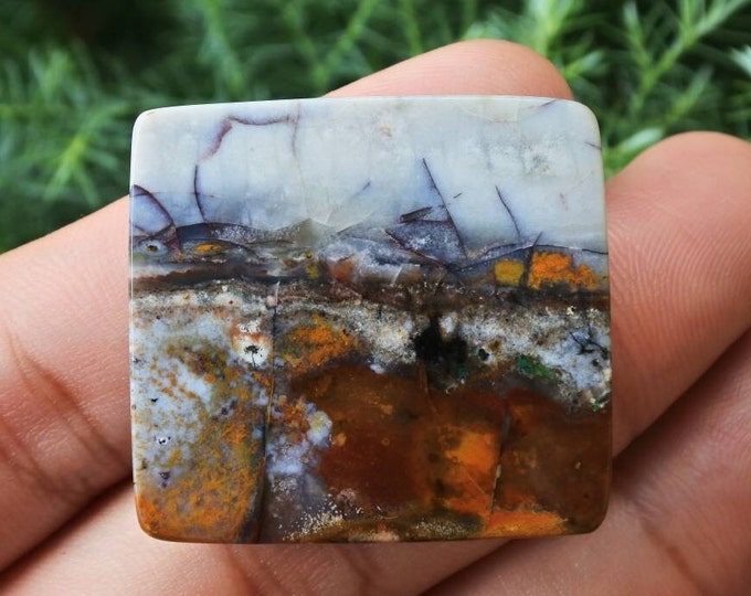 Multicolor Opalized wood