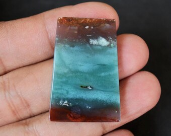 Blue Opalized Petrified Wood