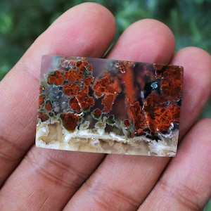 Plume Multicolor Opalized Petrified Wood