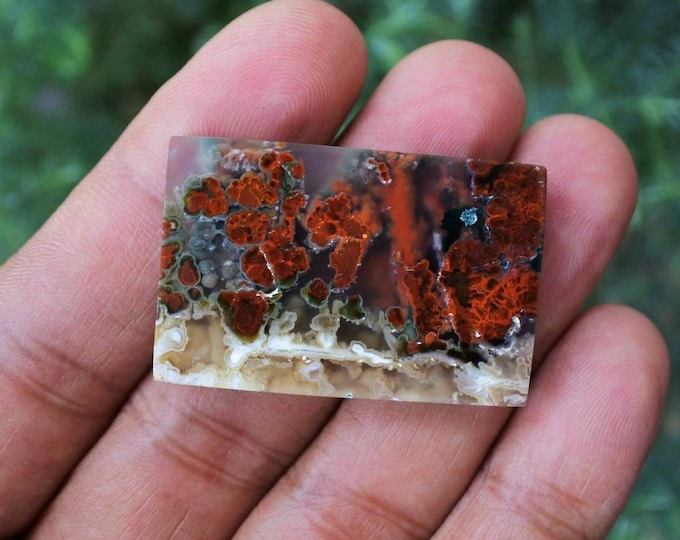 Plume Multicolor Opalized Petrified Wood