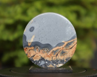 Maligano Jaspis Cabochon (31x30x6 mm)