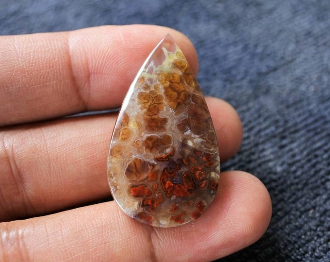 Plume Multicolor Opalized Petrified Wood