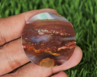 Multicolor Opalized Petrified Wood