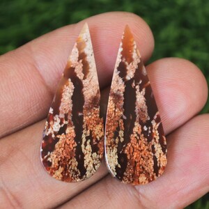 May include: Two teardrop-shaped gemstones with a mix of brown, orange, and cream patterns. The stones have a polished surface and a pointed top. The background is a blurred green.