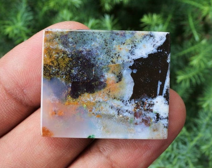 Multicolor Opalized wood