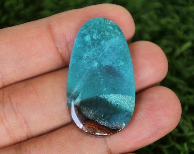 Blue Opalized Wood