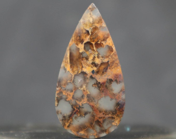 Golden Coral Agate