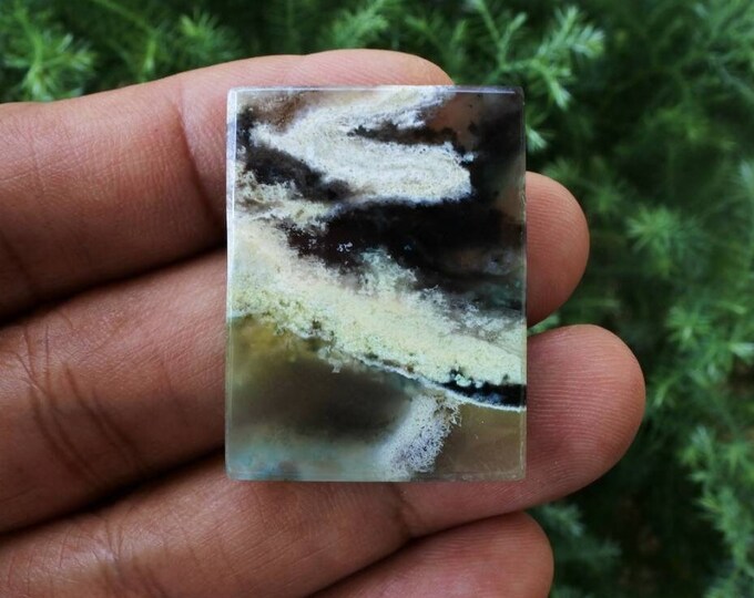 Multicolor Opalized Wood