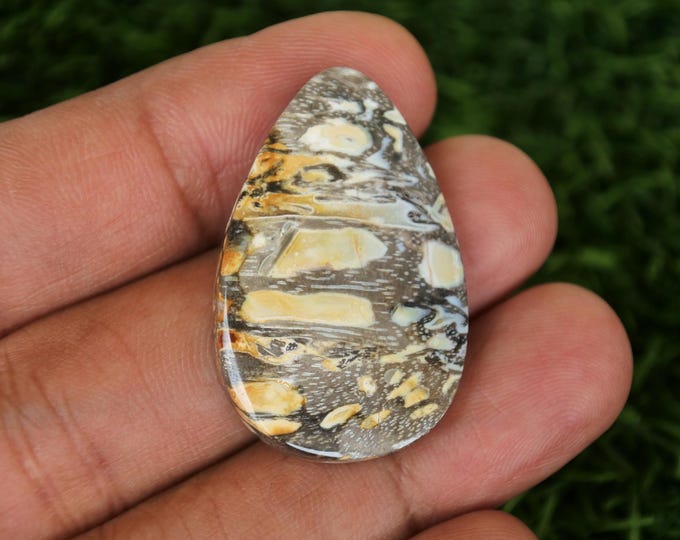 Fossilized Palmwood, Agate rock,Agate stone, Malachite Gemstone,Mohs scales of mineral hardness,Agate crystal meaning,Tree agate