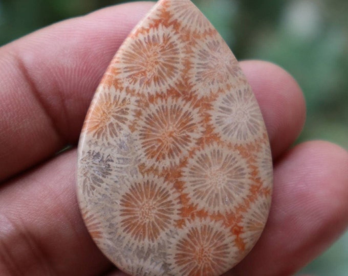 Coral agate,Agate rock,Agate stone, Malachite Gemstone,Agate crystal meaning,Larima gemstone,Flower agate,Tree agate,Fire agate