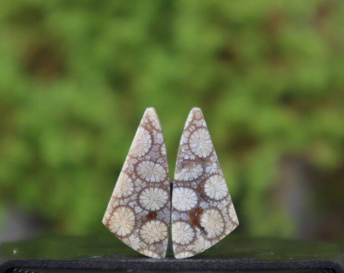 Coral agate pair,Agate rock,Agate stone, Malachite Gemstone,Agate crystal meaning,Larima gemstone,Flower agate,Tree agate,Fire agate