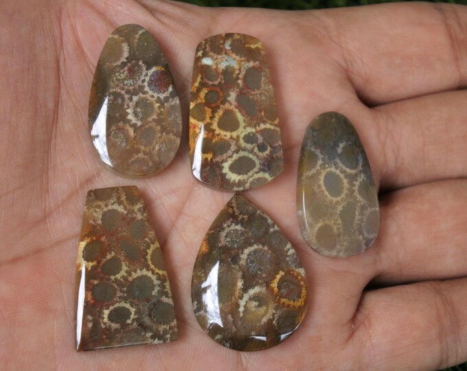 Coral agate,Agate rock,Agate stone, Malachite Gemstone,Mohs scales of mineral hardness,Agate crystal meaning,Larimar gemstone,Tree agate