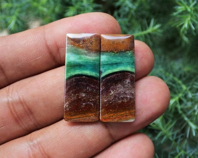 Opalized petrified wood Earring Pair