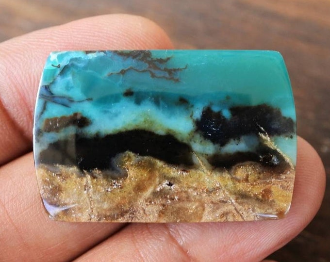 Blue Opalized petrified wood