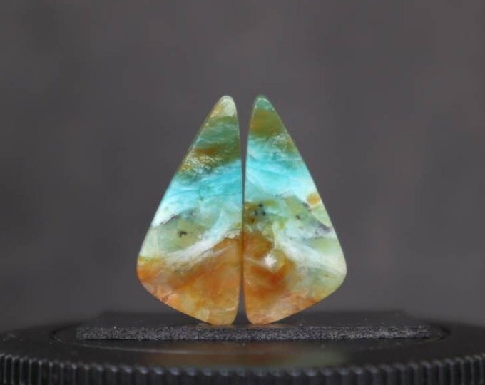 Blue Opalized wood Earring Pair