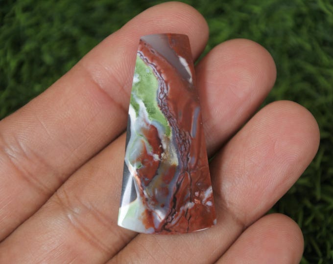 Multicolor Opalized Wood
