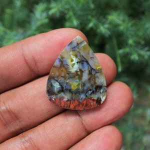 Plume Multicolor Opalized Petrified Wood