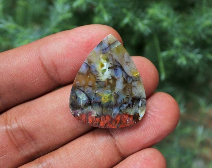 Plume Multicolor Opalized Petrified Wood