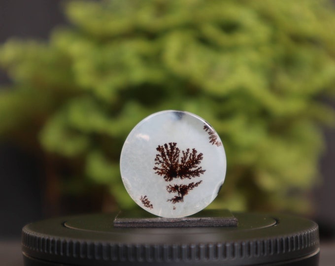 Dendritic agate