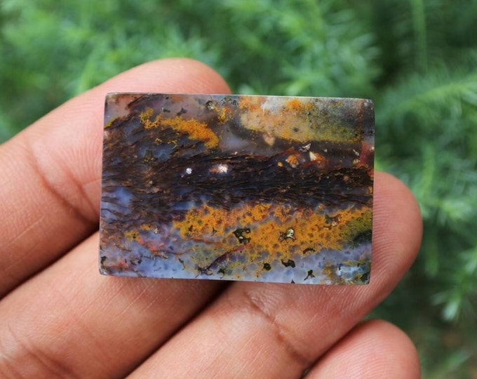 Opalized petrified wood