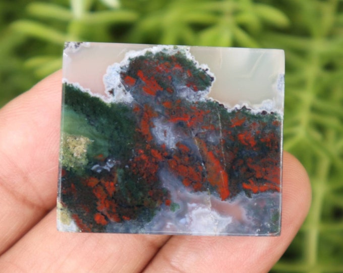Scenic Moss Agate