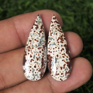 May include: Two teardrop-shaped gemstones with a speckled pattern of brown and white spots. The stones have a polished surface and a dark brown edge. The background is a blurred green.
