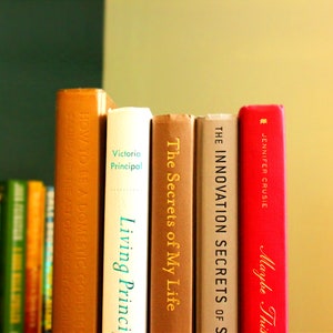 Single Book by Color| Aesthetic Shelf Decoration, Professional Home Decor, Designer Look, Table Stage Prop, Choose Colors, Hardback Book