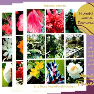 Botanical Gardens Ephemera, Junk Journal Kit, Digital download, Scrapbooking Paper, Printable Botanical Nature Images