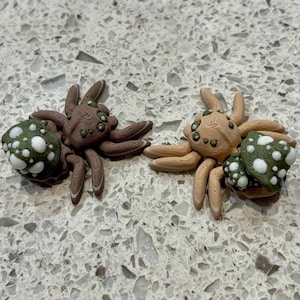3D Printed Spider Fidget Toy: Various Themed Spiders image 9