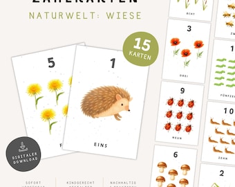 Telkaarten 1–15 | 15 printbare flashcards | Weide | Montessori printbaar | Kleuterschool & groep 1 (PDF)