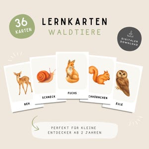 Può includere: Set di 36 flashcard educative con illustrazioni ad acquerello di animali della foresta. Le carte presentano un cervo, una lumaca, una volpe, uno scoiattolo e un gufo. Il testo sulle carte è in tedesco.