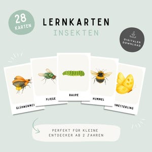 Puede incluir: Juego de tarjetas de insectos con ilustraciones de una luciérnaga, mosca, oruga, abejorro y mariposa. Las tarjetas están etiquetadas con nombres de insectos en alemán. El juego incluye 28 tarjetas.