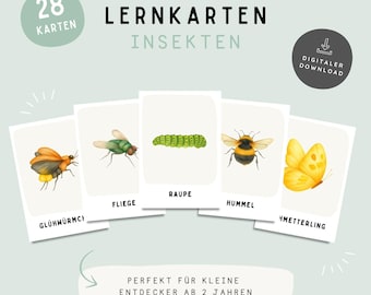 Insectenflitskaarten voor kinderen (zomer) | Montessori-flitskaarten | 28 A6-kaarten | Printbare insectenkaarten | Leren voor kleuters | PDF-download