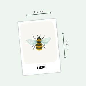 Eine rechteckige Karte mit einer zentralen Illustration einer Hummel mit gelben und schwarzen Streifen und hellblauen Flügeln. Das Wort BIENE ist unten in Schwarz aufgedruckt. Maßlinien zeigen eine Breite von 10,2 cm und eine Höhe von 14,6 cm.