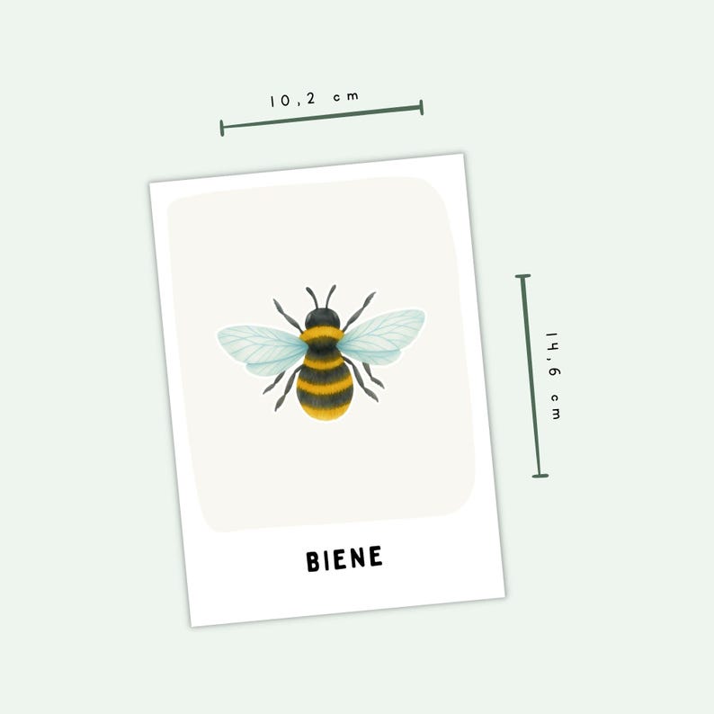 Eine rechteckige Karte mit einer zentralen Illustration einer Hummel mit gelben und schwarzen Streifen und hellblauen Flügeln. Das Wort BIENE ist unten in Schwarz aufgedruckt. Maßlinien zeigen eine Breite von 10,2 cm und eine Höhe von 14,6 cm.