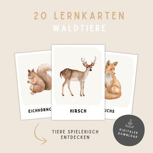 Flashcards met bosdieren voor kinderen (PDF) – Montessori-flashcards, printbare bosdieren, leerzaam voor kleuters, A6-kaarten, kleuterschool