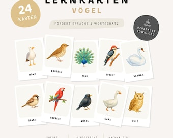 Vogelkaartjes voor kinderen | Montessori-kaartjes | 24 A6-kaartjes | Printbare vogelkaartjes | Leren voor kleuters | PDF-download