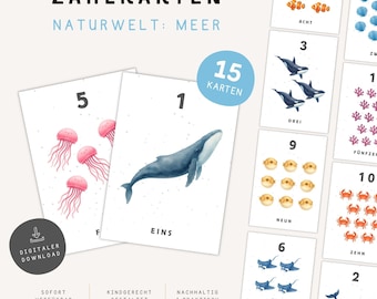 Telkaarten 1–15 | 15 printbare flashcards | Meer | Printbaar Montessori-materiaal | Kleuterschool & Groep 1 PDF