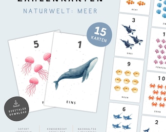 Telkaarten 1–15 | 15 printbare flashcards | Meer | Printbaar Montessori-materiaal | Kleuterschool & Groep 1 PDF