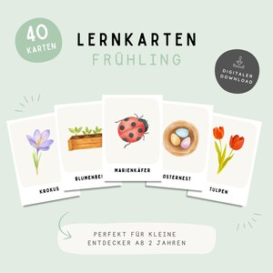 Cartões de memória de primavera para crianças (PDF) – Cartões de memória de primavera para imprimir, Estações do ano, Natureza, Educação Infantil/Pré-escola, 40 cartões A6