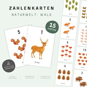May include: A set of 15 educational number cards featuring illustrations of forest animals and nature elements. Each card displays a numeral, a corresponding quantity of items, and a German word label. The cards show squirrels, a deer, foxes, mushrooms, pinecones, leaves, butterflies, snails, and wild boars.