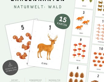 Forest Number Cards | 15 Printable Learning Cards 1-15 | Montessori Printable | Preschool/Kindergarten | Learning Numbers | PDF Digital Download