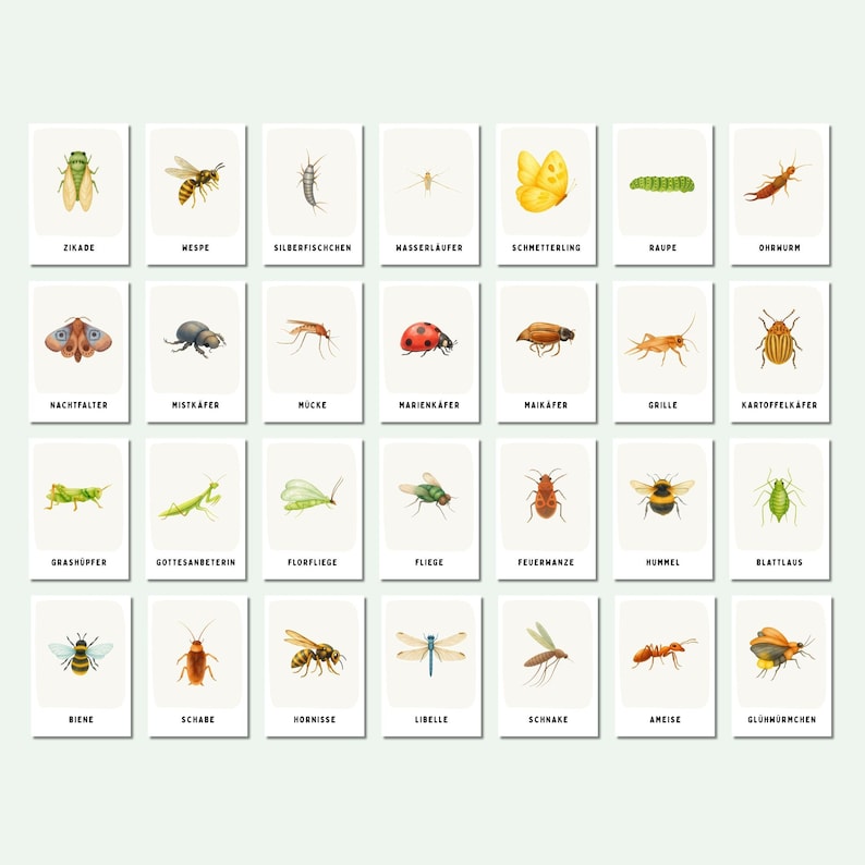 Eine Sammlung von achtundzwanzig rechteckigen Karten in vier Reihen, wobei jede Karte eine detaillierte Illustration eines anderen Insekts zeigt, mit dem entsprechenden deutschen Namen in schwarzen Großbuchstaben am unteren Rand.