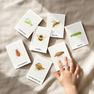 Ein Set aus sieben rechteckigen weißen Lernkarten mit detaillierten Illustrationen verschiedener Insekten und Larven, die jeweils mit ihrem deutschen Namen wie Florfliege, Wespe, Raupe, Feuerwanze, Hummel und Glühwürmchen in schwarzer Schrift beschriftet sind.