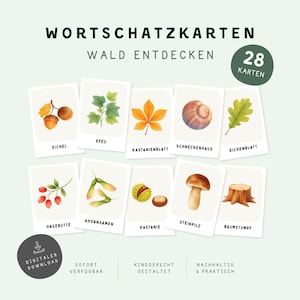 Forest Vocabulary Cards | 28 Forest Learning Cards | Discovering the Forest | Montessori PDF | Language Development | Learning about Nature | Toddlers
