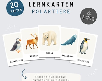 Flashcards met pooldieren voor kinderen | Montessori-flashcards | 20 A6-kaarten | Printbare pooldieren | Leren voor kleuters | PDF-download
