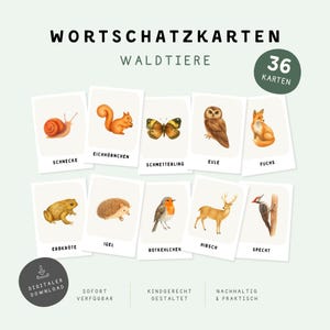 Waldtiere Lernkarten für Kinder | Montessori Flashcards | 36 Karten | Woodland Animals Printable | Vorschule Lernen | PDF Download