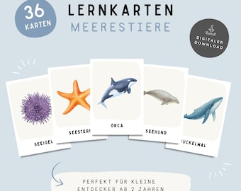 Flashcards met zeedieren voor kinderen | Montessori-flashcards | 36 A6-kaarten | Printbare zeedieren | Leren voor kleuters | PDF-download