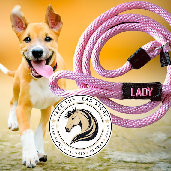 Personalized Embroidered Dog Slip Lead or Leash: 30 Rope Colors, 3 Fonts, Endless Thread Colors. Ideal Gift for the Dog Person in your Life.